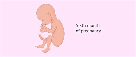 What to expect when you are 6 months pregnant