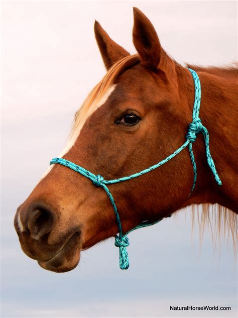 Horsemanship Rope Halter