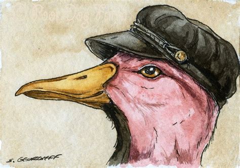 The Pink Headed Duck ~~ No 22 of 100 series- ~ signed watercolor print