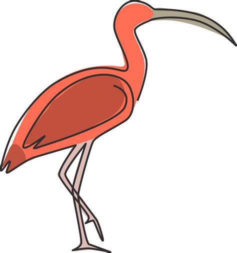 Single continuous line drawing of elegant ibis bird for organisation logo identity. University ...