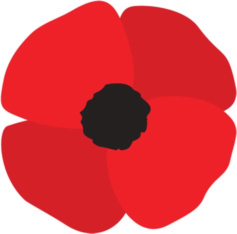 Red Poppy Transparent Png Stickpng - vrogue.co