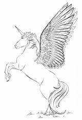 41 Magical Unicorn Coloring Pages sketch template