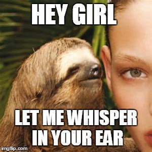 Whisper Sloth Meme - Imgflip