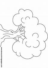 Oak Tree Coloring Page sketch template