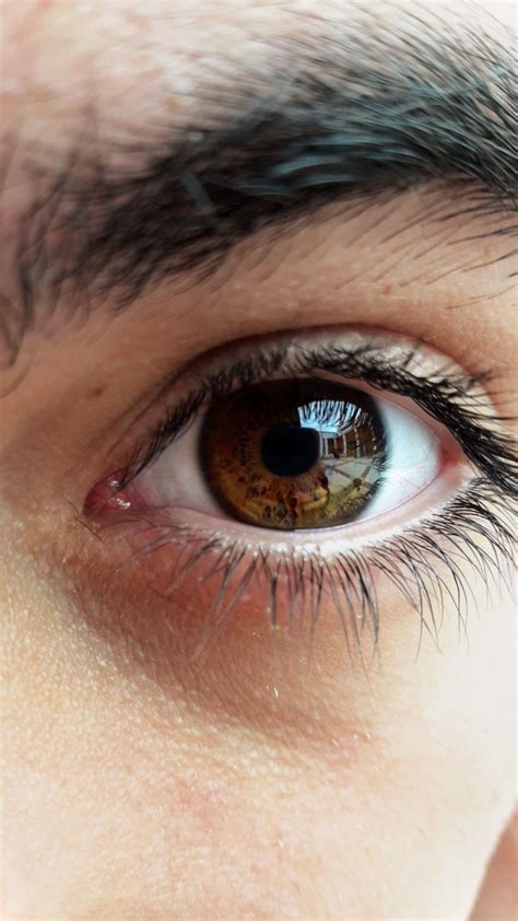 Pretty Eyes, Cool Eyes, Brown Eyes Aesthetic, Body Art Photography, Eye ...