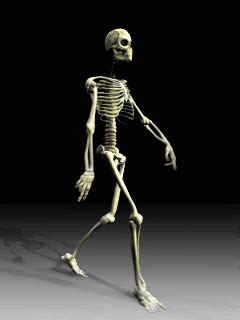 3d skeleton walking GIF - Find on GIFER