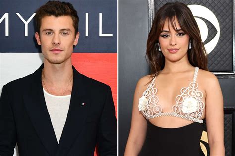 Shawn Mendes and Camila Cabello Seem Happy to Be Reconnected: Source