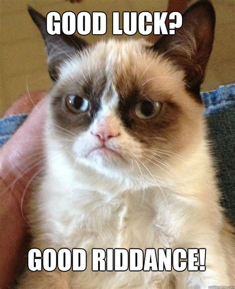 Good Luck? Good Riddance! - Grumpy Cat - quickmeme