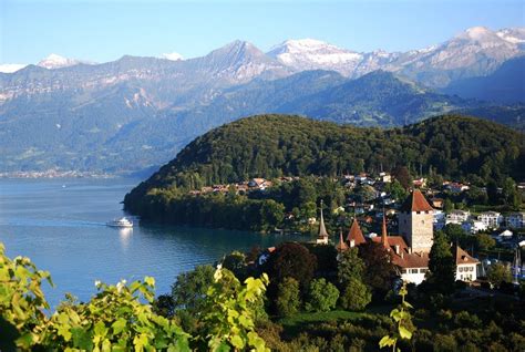 ** The castle and town of Spiez at Lake Thun. View from top of the vineyard