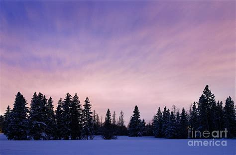 Winter Sky At Dusk Photograph by Terry Elniski