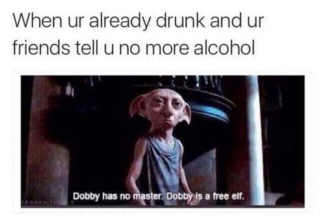 The best Dobby memes :) Memedroid