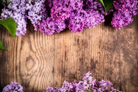 Lilac on brown wood texture Stock Photo by ©sbworld7 72978287