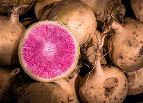 13 Unusual Root Vegetables to Explore