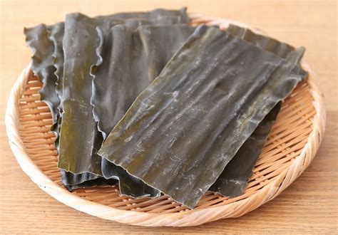 A Guide to All You Need To Know about Kombu