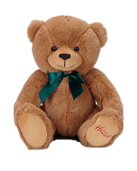 Brown Teddy Bear PNG Image - PNG Mart