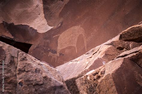 African rock art engravings of animals Stock Photo | Adobe Stock