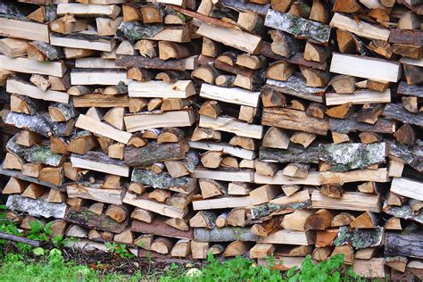 BOIS DE FEU – Pascal Rossé, entreprise forestière depuis 3 générations