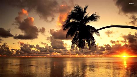 Hawaii Beach Palm Tree Sunset Wallpaper Desktop Free #526809 Wallpaper ...