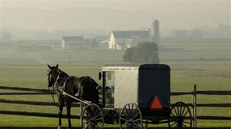 Amish children killed after truck hits horse-drawn buggy | US News ...