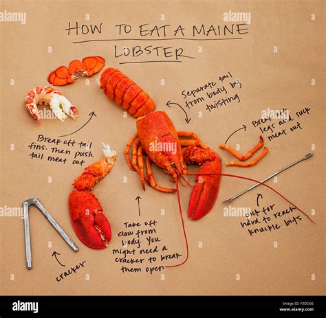 How to eat lobster instructions Stock Photo - Alamy