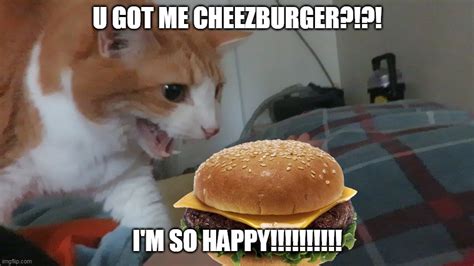 i can haz cheezburger? - Imgflip