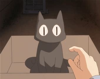 Cat GIF - Find & Share on GIPHY | Black cat anime, Aesthetic anime, Anime