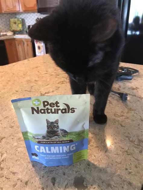 PET NATURALS Calming Cat Chews, 30 count - Chewy.com