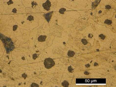 Optical micrograph of a nodular cast iron sample | Download Scientific Diagram