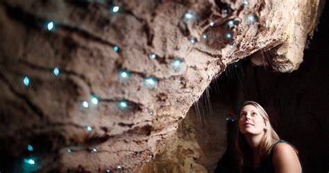 Waitomo Glowworm Caves Guided Tour - RTW Backpackers