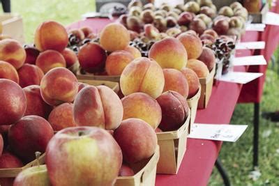 Produce returns to farmers market | News | thecorryjournal.com