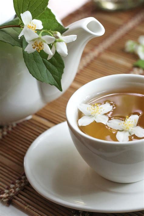 20+ Free Jasmine Tea & Jasmine Images - Pixabay