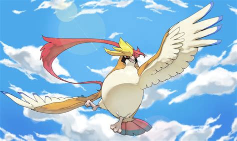 Mega Pidgeot by PinkGermy on DeviantArt