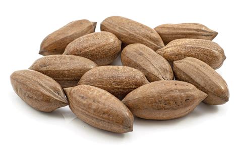 Pecans in Shell 25kg (Bulk) | Healthy Supplies