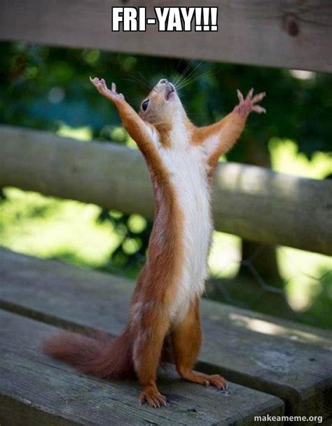 Fri-YAY!!! - Happy Squirrel | Make a Meme