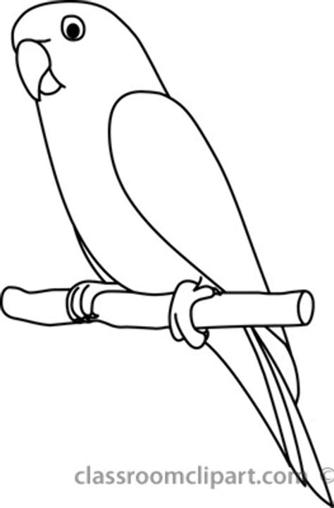 Download High Quality parrot clipart black and white Transparent PNG ...