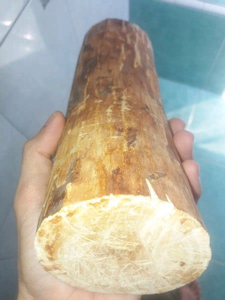 Jual Kayu cendana asli gelondongan kode 6a di Lapak TOKO AL. HIKMAH BANTEN | Bukalapak