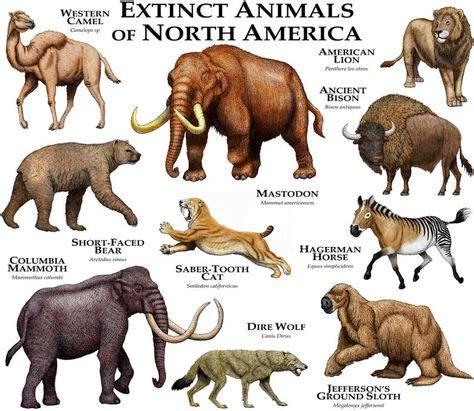 Extinct Mammals of North America Poster Print | Etsy in 2020 | Extinct animals, Prehistoric ...