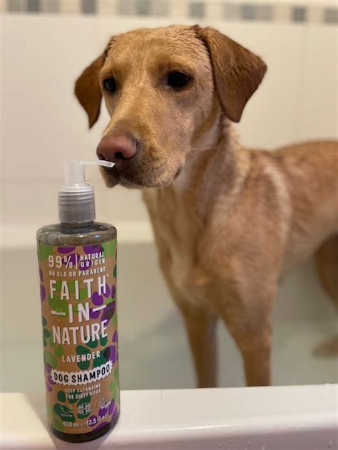 The Best Natural Pet Shampoo | BigGreenSmile.com