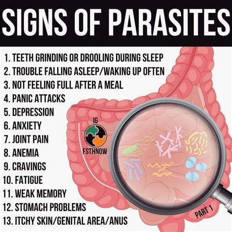 📗If you are in need of detailed guide how to get rid of all parasites ...