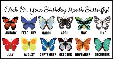 Find out what your birth month butterfly reveals about you and your personality traits. | Mois ...