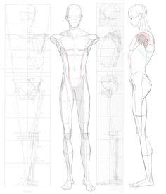 490 Character Anatomy ideas in 2024 | sketches, anatomy, anatomy drawing