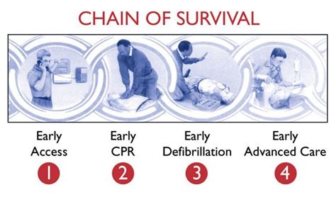 chain of survival cpr - Google Search | Occupational first aid, First aid, Advanced care