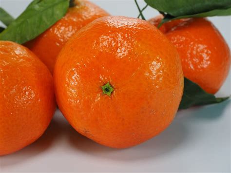 Clementine Fruit