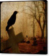 Cawing Night Crow Photograph by Gothicrow Images | Fine Art America