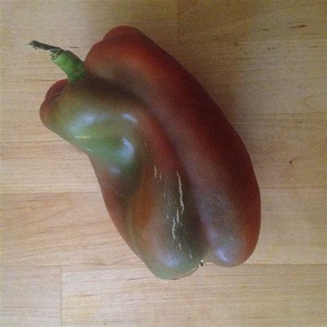 Bell Pepper Changing Colors | One of three funny looking bel… | Flickr