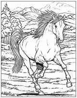 Free Horse Coloring Pages For Adults & Kids  COWGIRL Magazine sketch template
