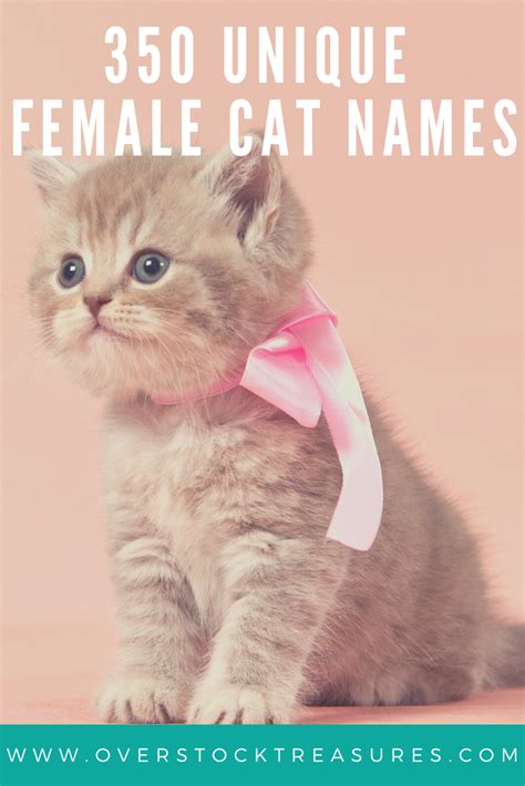 350 Unique Kitten Name Girl | Kitten names girl, Cat names girl unique ...