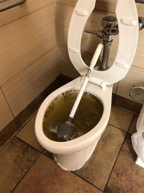 Taco Bell bathroom (NSFW) : r/mildlydisgusting