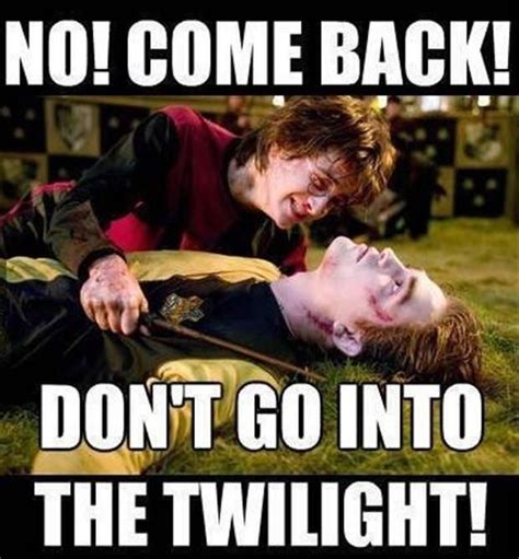 Don't Go, Cedric Diggory!. pic.twitter.com/zTbS72K4g6 via Professor ...