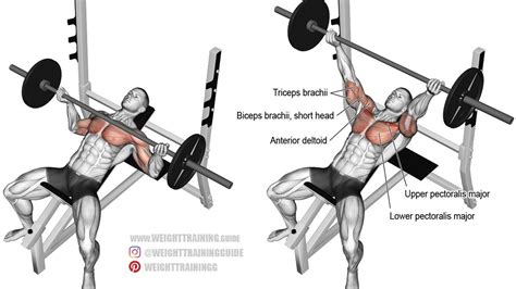 Best chest exercises for lower and upper chest - Page 2 of 8 | Weight Training Guide | Vücut ...